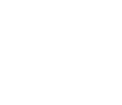 Hawaiian Airlines