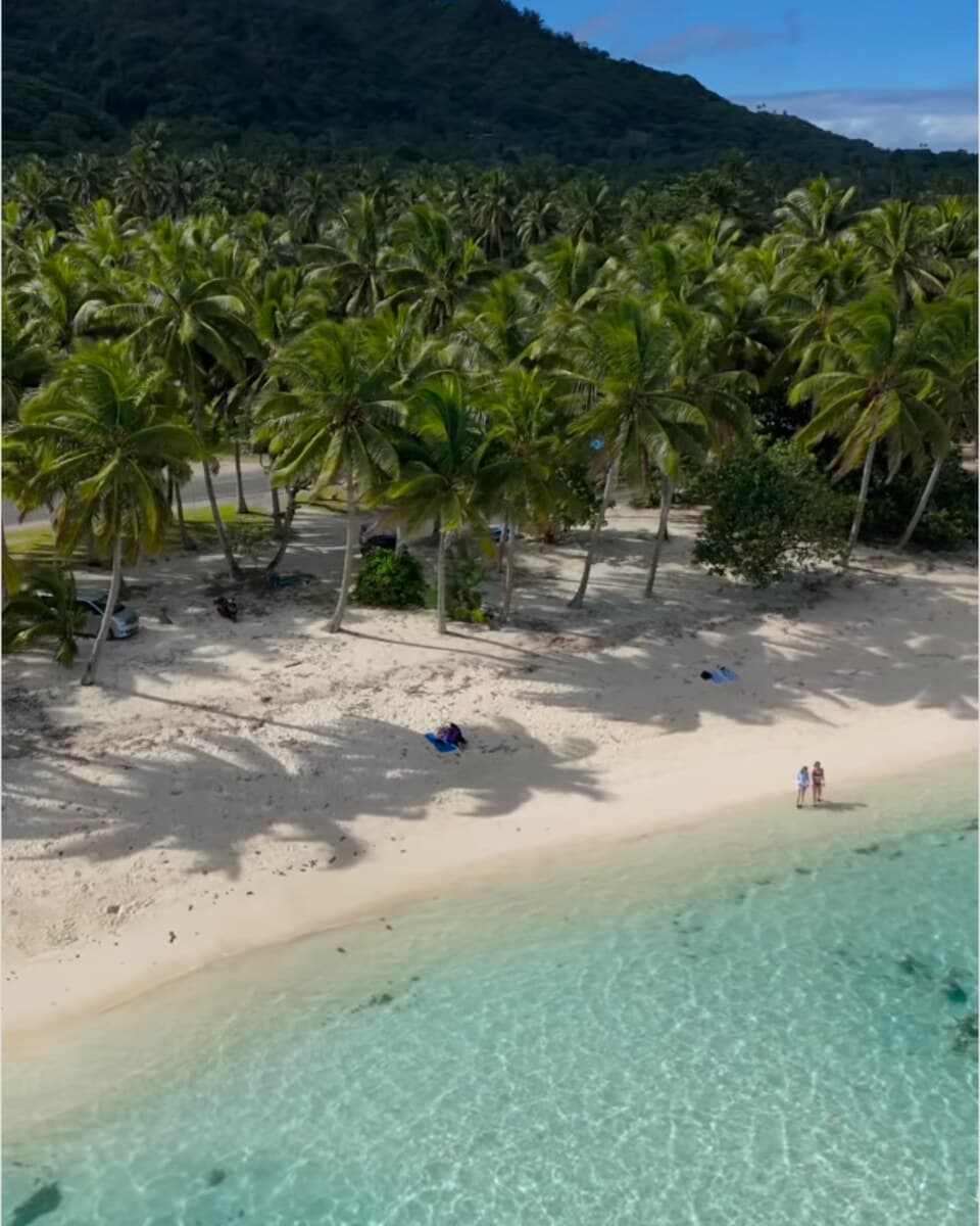 Aerial view of a bright palm-lined Pacific beach and clear turquoise water