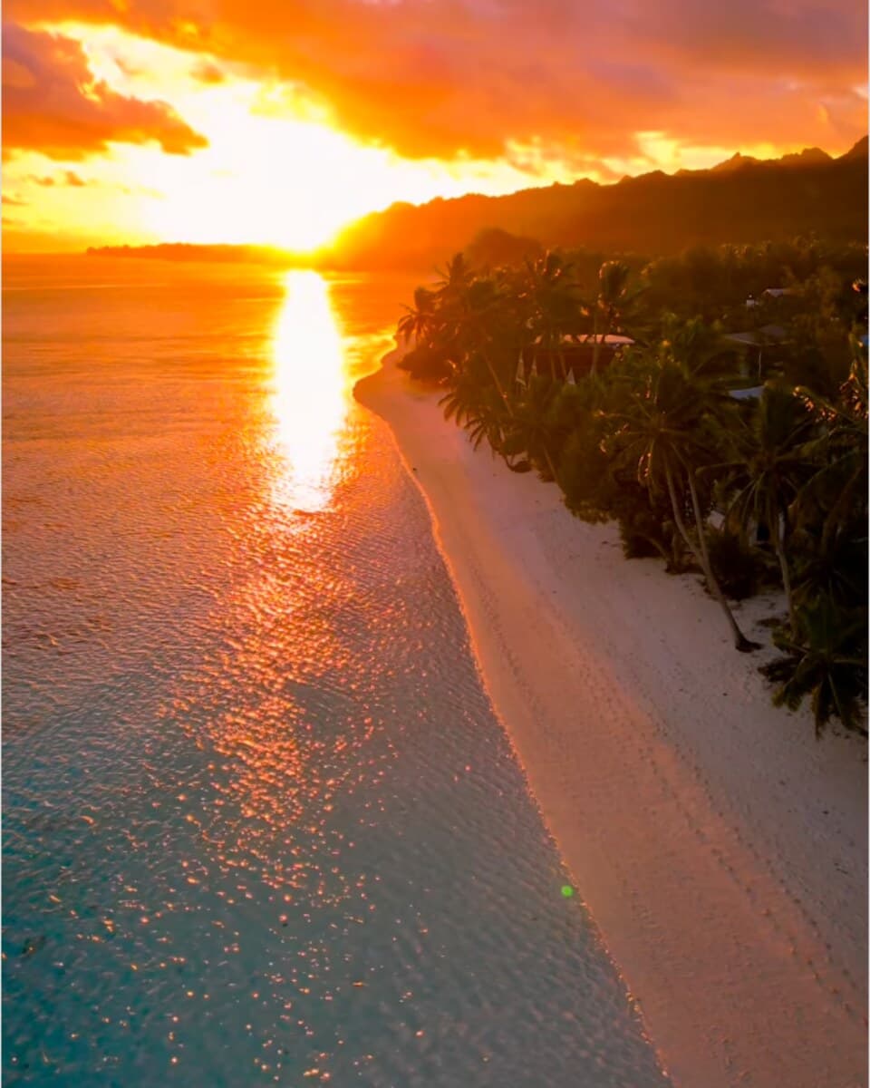Aerial view of a palm-lined Pacific beach at sunset